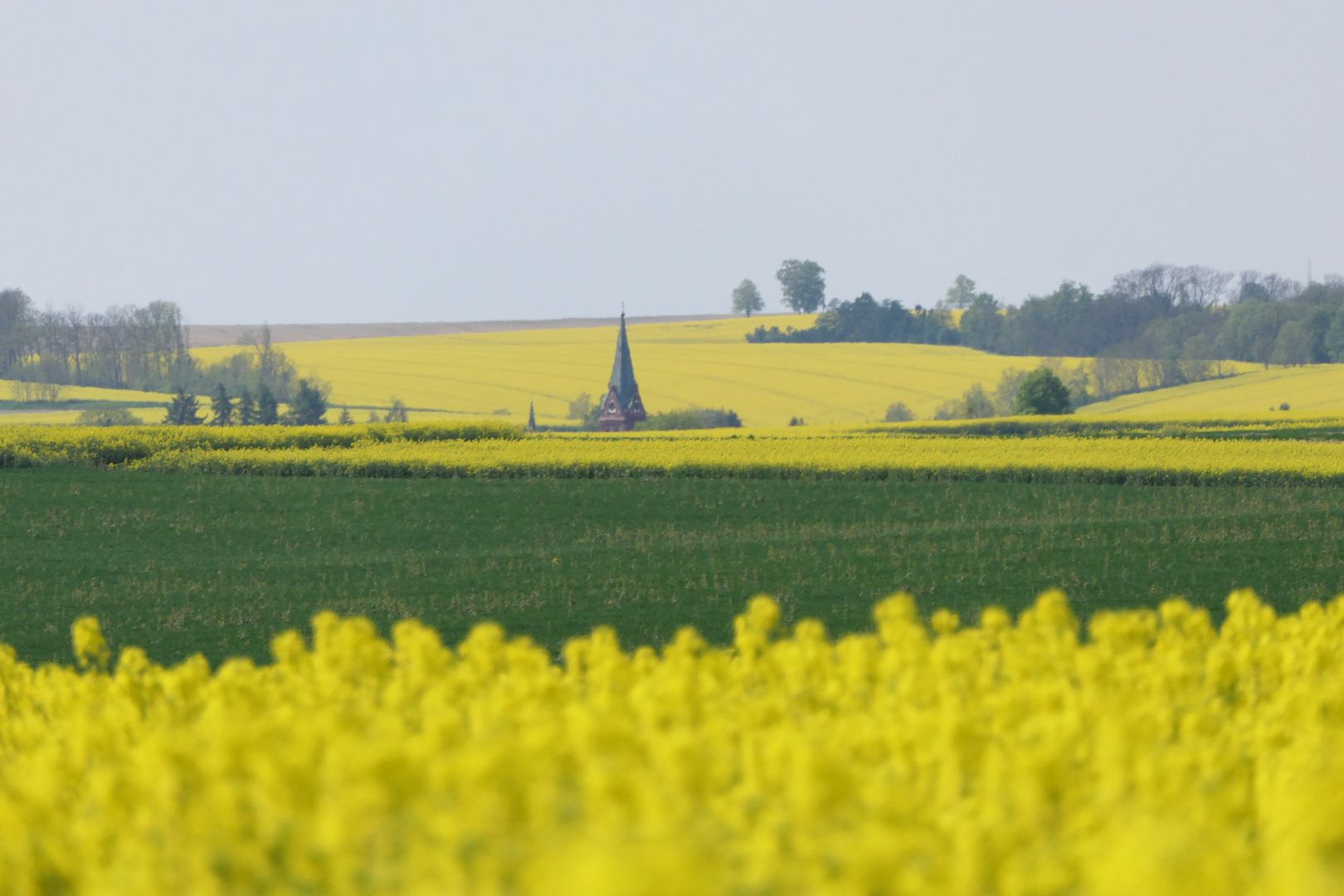 W okolice Raciborza warto wybrać się zwłaszcza wiosną, gdy pola toną w żółci kwitnącego rzepaku. Na zdjęciu pola za Miedonią a wśród nich ukryty kościół w Rudniku.