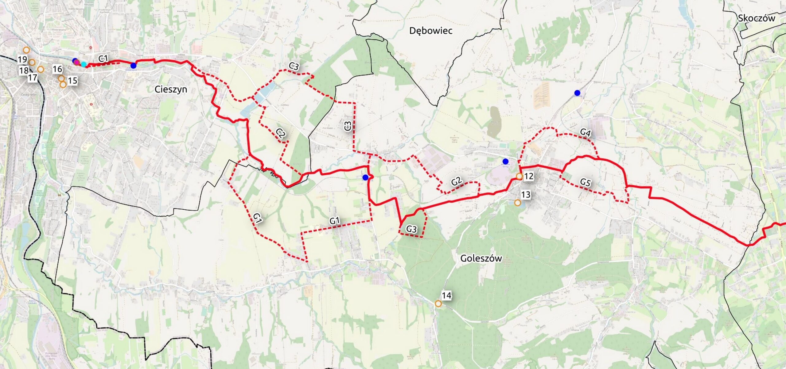 Proponowane warianty trasy 604 w gminach Cieszyn i Goleszów. Pogrubiona linia wskazuje wariant rekomendowany po audycie.