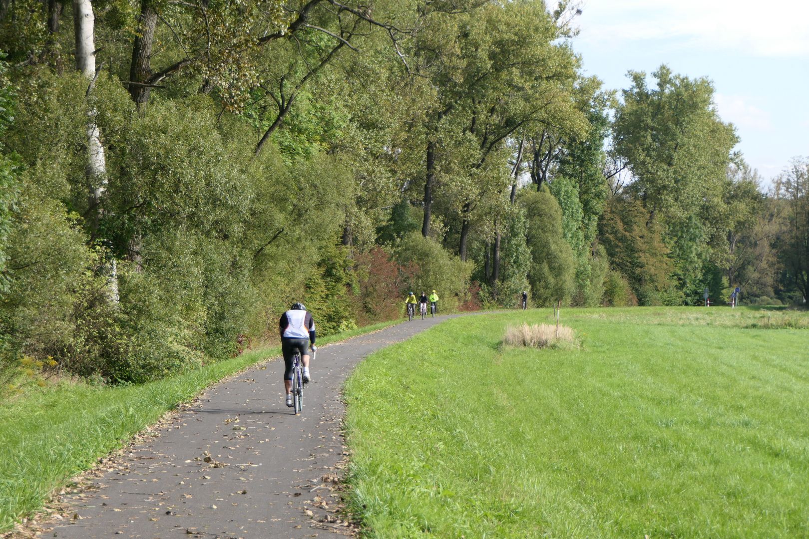 Ostatni odcinek drogi rowerowej przed Łąkami. Ta trasa jest bardzo popularna wśród lokalnych rowerzystów.