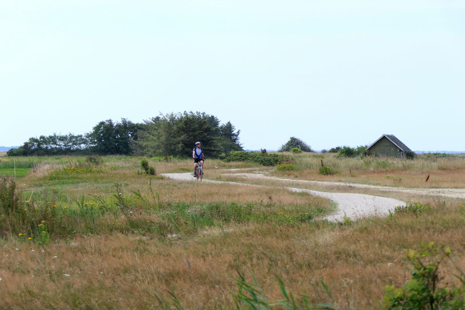 Szutrowa droga gdzieś w okolicach Skejrn na Jutlandii pięknie wije się pośród łąk.
