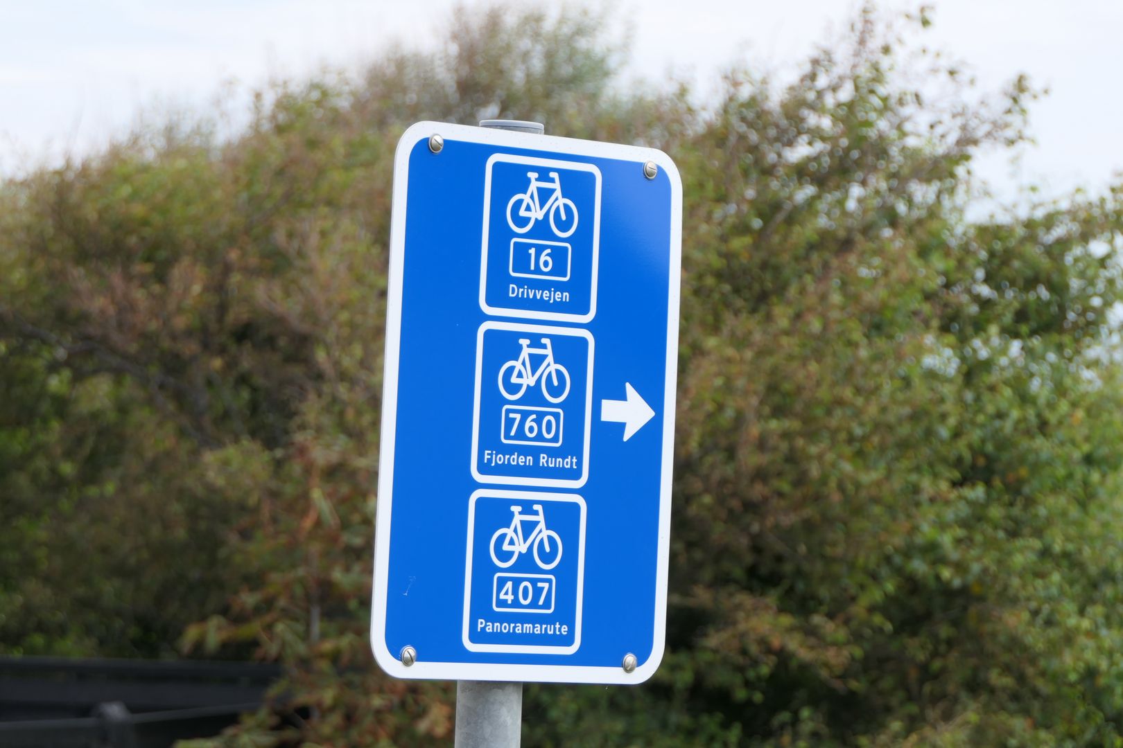 Przykładowe oznakowanie duńskich tras rowerowych.