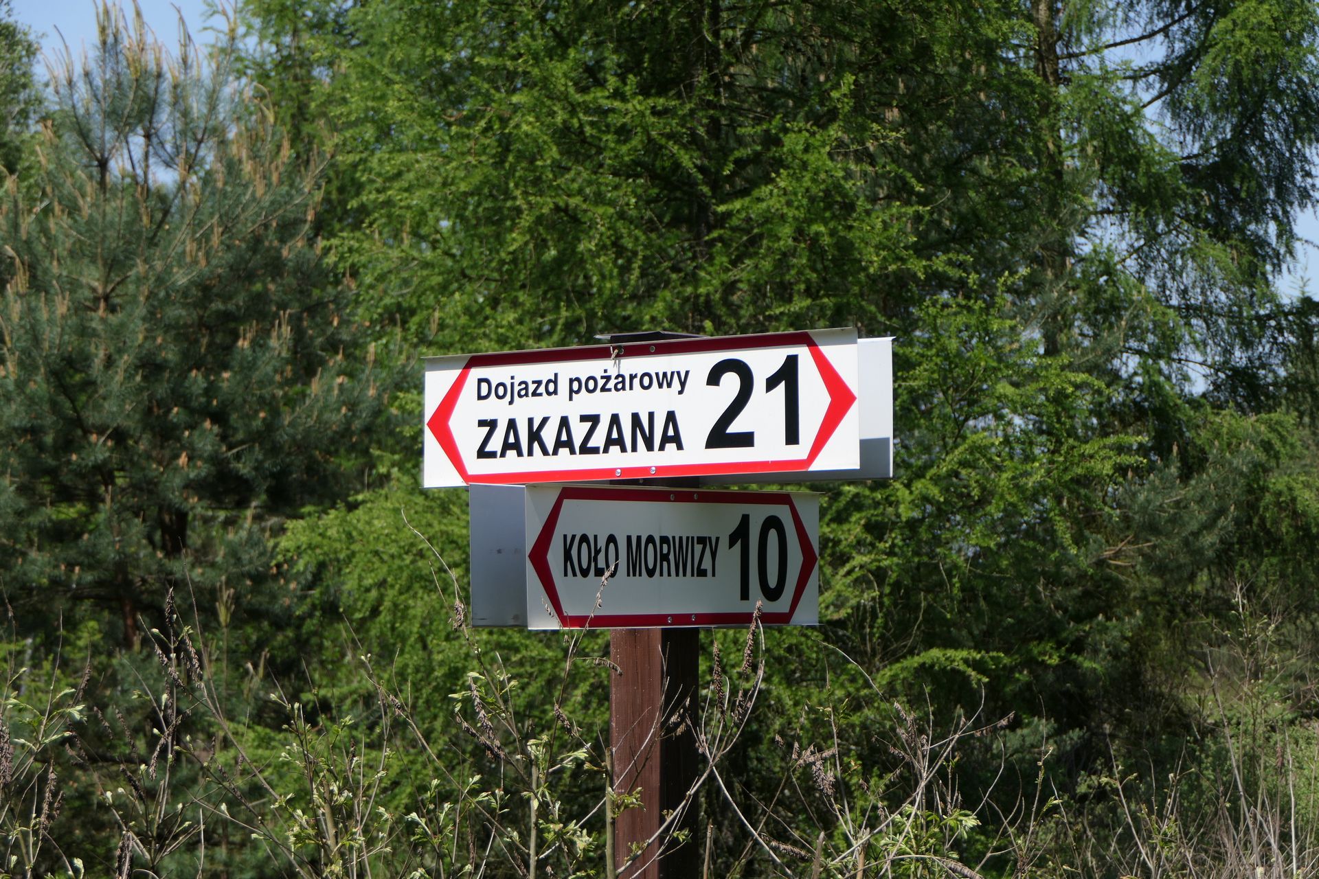 "Zakazana", na szczęście nie dla rowerzystów, droga pożarowa biegnąca przez serce lasów rudzkich.