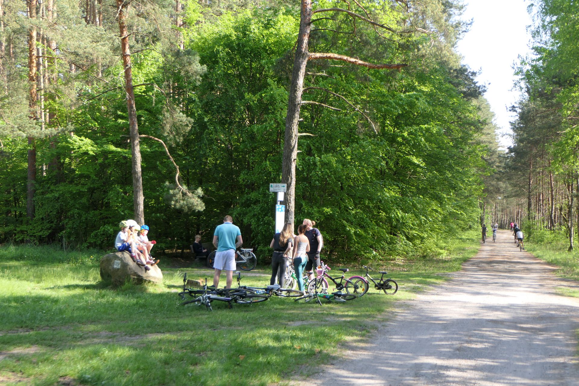 Piękny dzień najlepiej spędzić w lesie na rowerach, w towarzystwie całej rodziny.