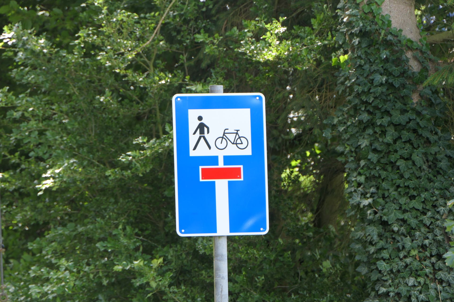 Bardzo fajny wynalazek, który jest już powszechnie stosowany między innymi w Niemczech i Holandii. Czyli znak informujący o drodze bez przejazdu, ale z wyłączeniem rowerzystów i pieszych. Bardzo się przydaje, gdy poruszamy się rowerem w nieznanym terenie - dzięki takiemu znakowi od razu wiemy, że będzie przejazd.
