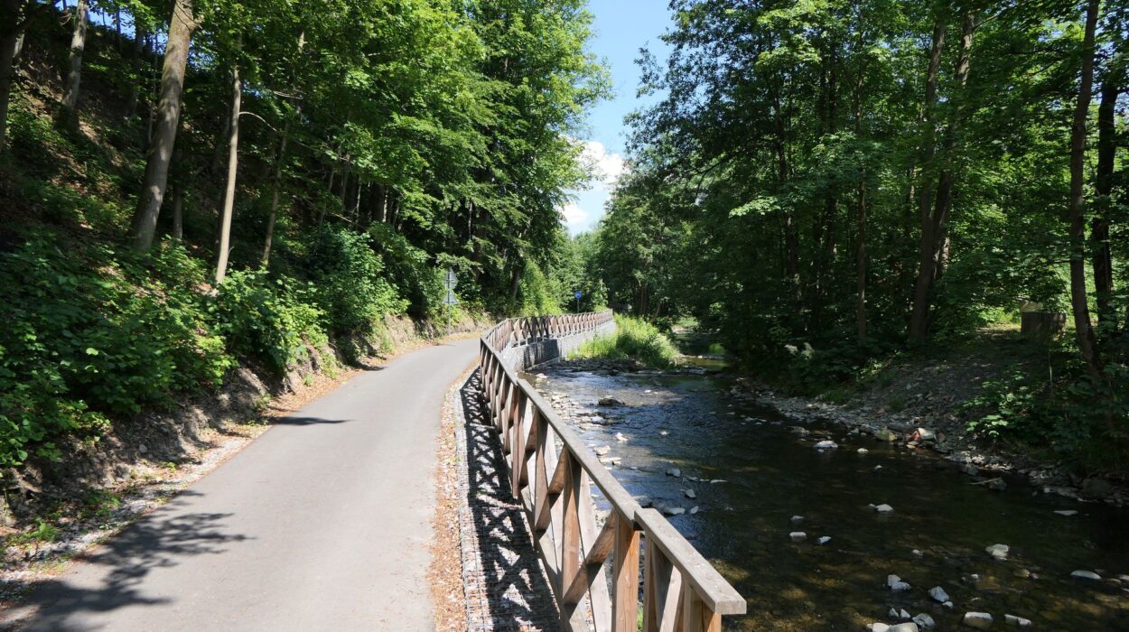 Trasa rowerowa w dolinie Łomnej na Zaolziu.