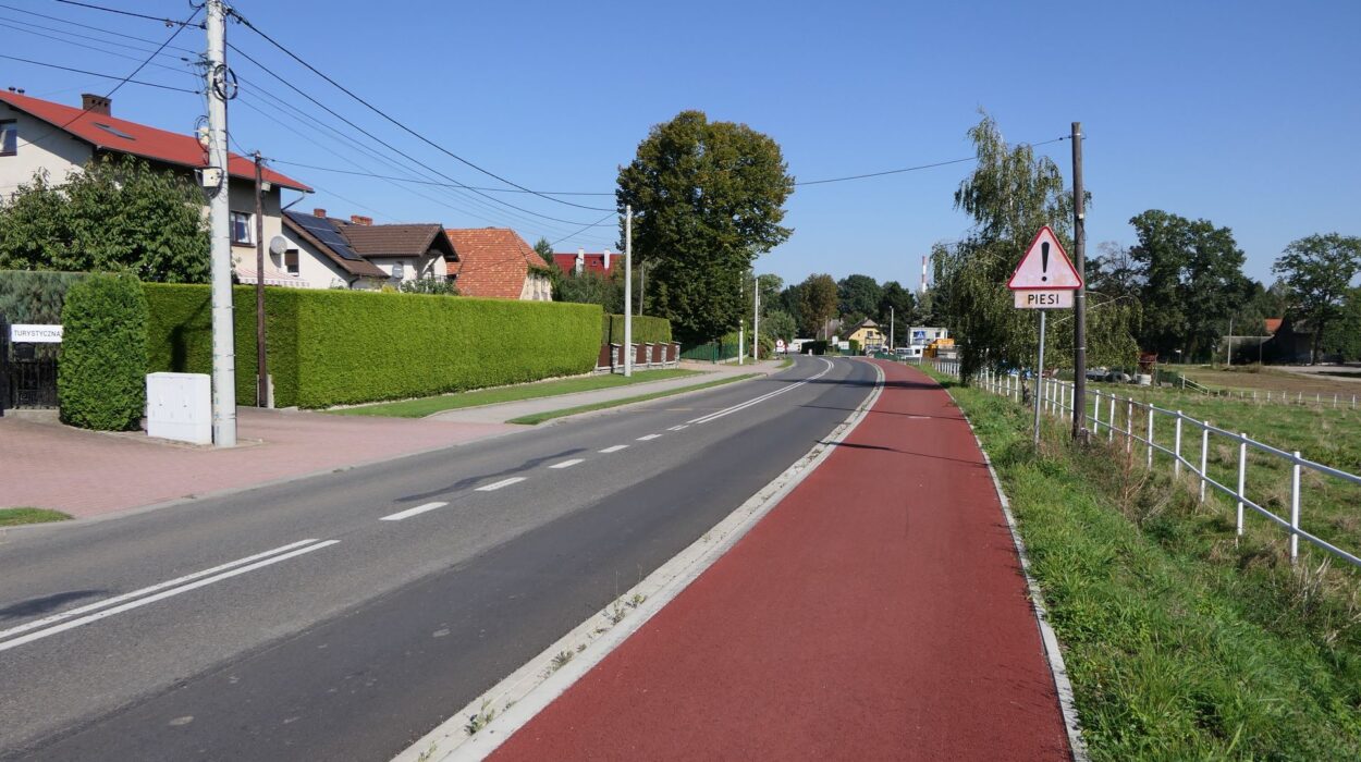 Droga dla rowerów wzdłuż DW 939 z Pszczyny do Wisły Wielkiej.