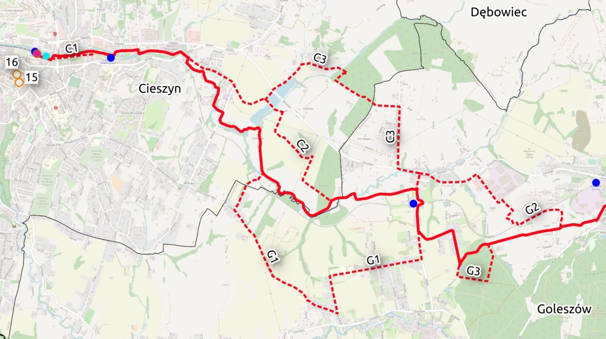 Fragment mapy z audytu trasy 604 na odcinku Cieszyn-Goleszów.