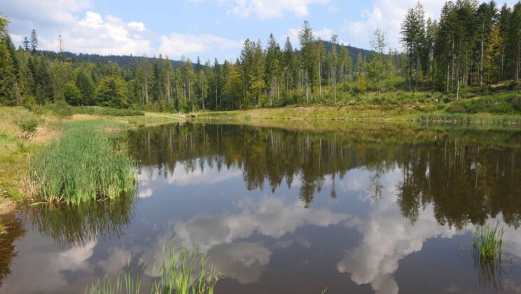 Z Piosku do źródeł Olzy – nie dla rowerowych górali