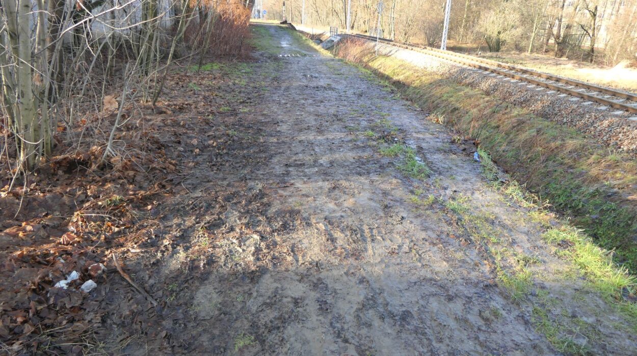 Czarny Chodnik za Urzędem Celnym w Cieszynie - ważny szlak komunikacyjny dla pieszych i rowerzystów, który od lat jest błotnistą i zaśmieconą ścieżką.