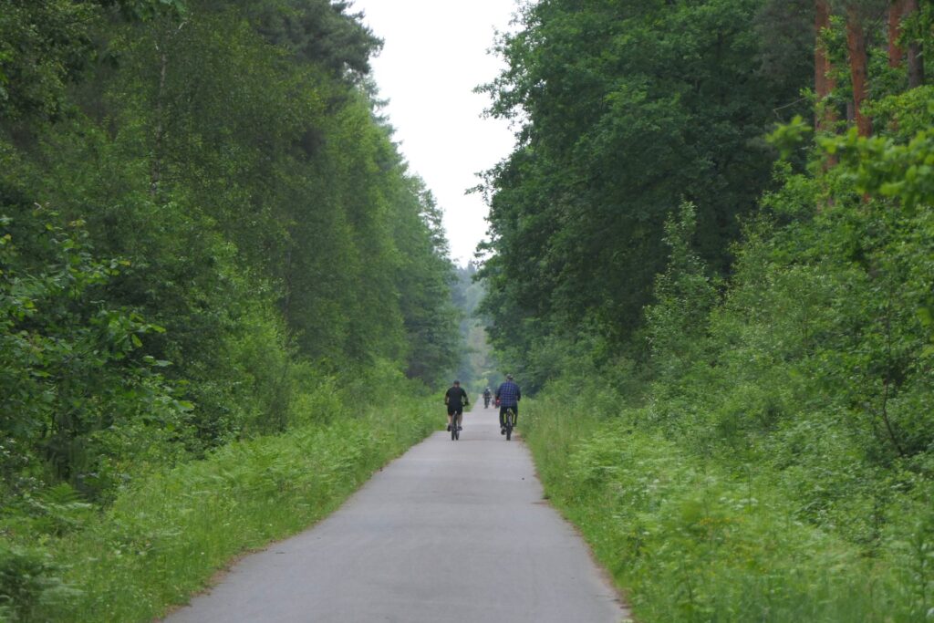 Część dróg leśnych jest asfaltowa. Na większości pozostałych znajdziemy dobrze utrzymany szuter, umożliwiający płynną jazdę.