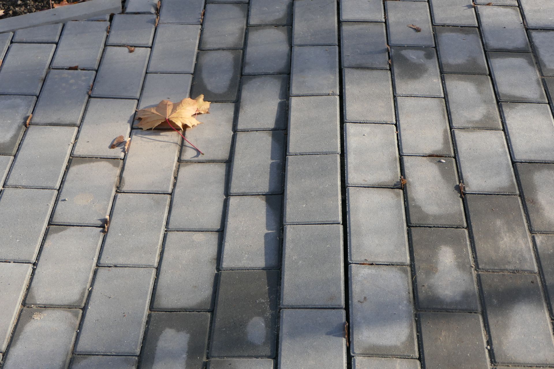 A może ten chodniczek jest tylko tymczasowy? Bo choć dopiero dzisiaj został oddany do użytku, już pojawiają się zapadliska.