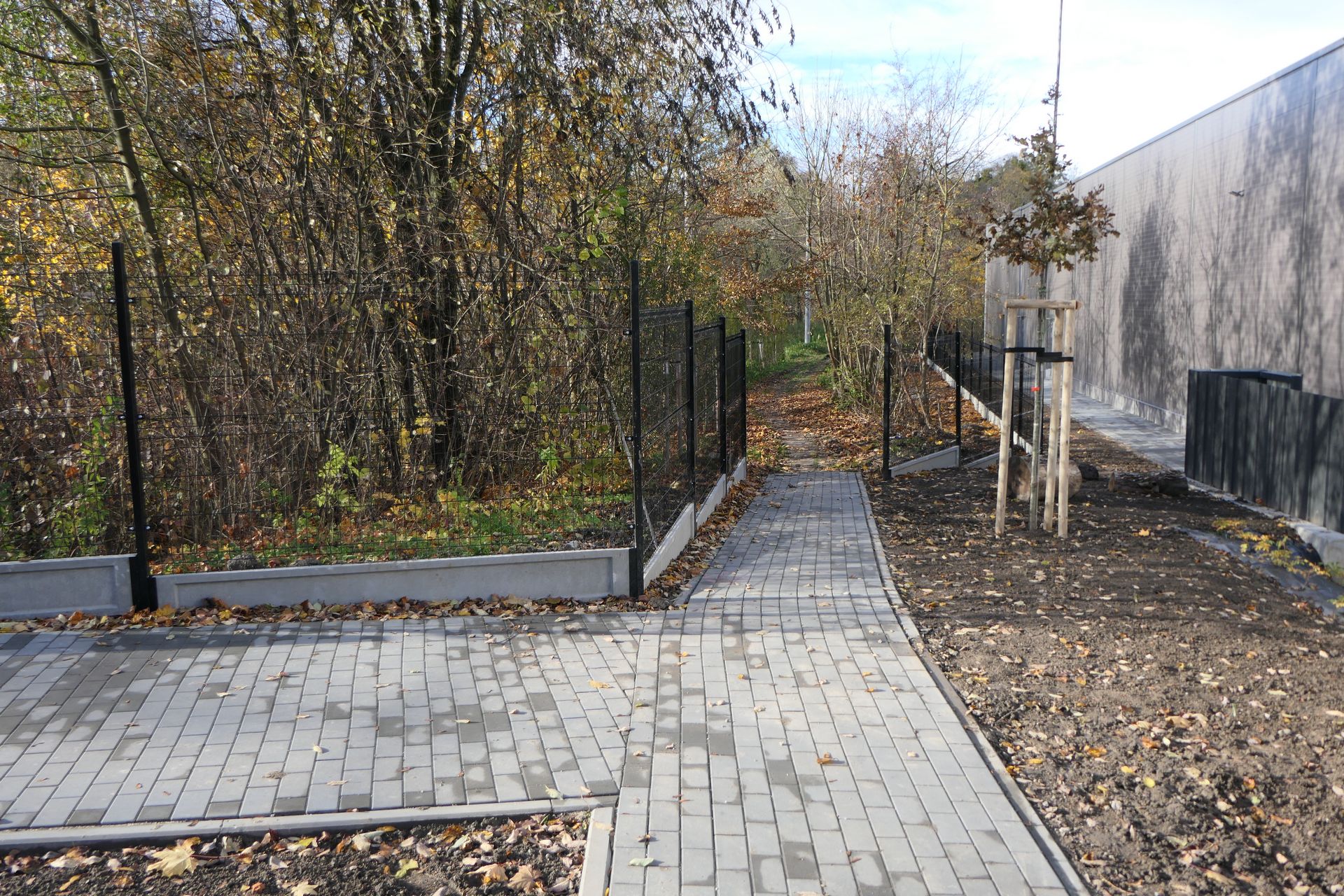 Fragment chodnika przechodzący w ścieżkę. Tu jest planowana trasa 604.