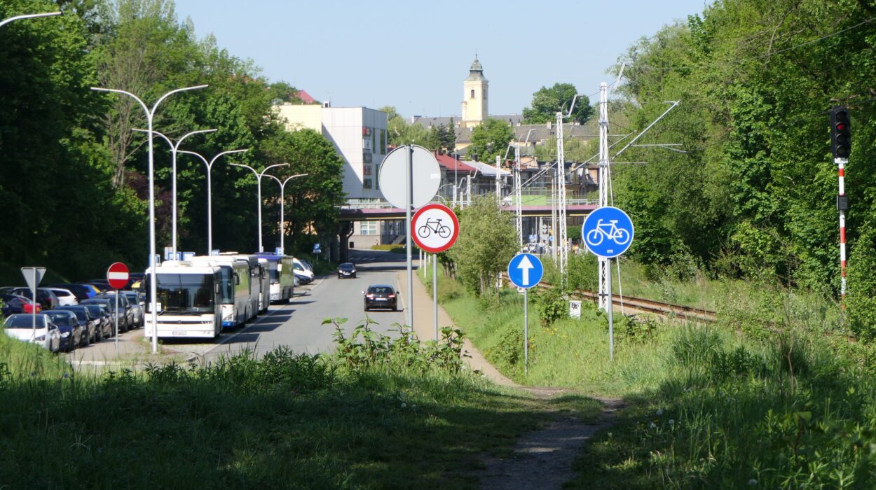 Czarny Chodnik za KAS. Widok w stronę ul. RNŚC